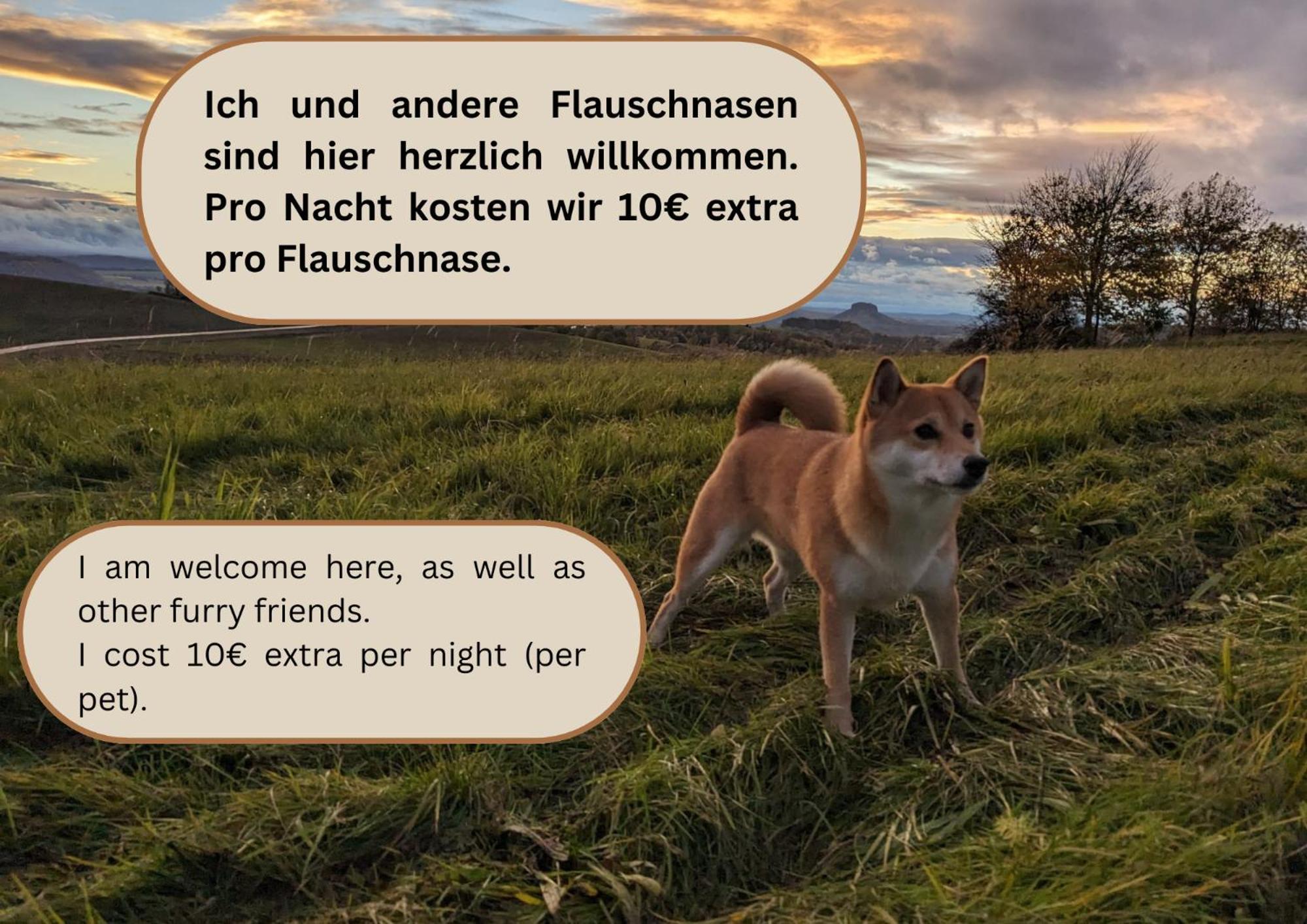 S1 - Urlaubsmagie - Direkt Loswandern, Bis Zu 4P Sebnitz Dış mekan fotoğraf